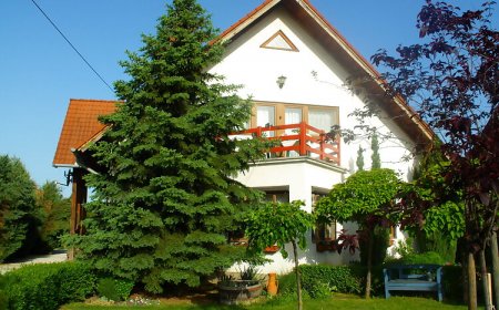 Mandulavirág Vendégház Balatongyörök