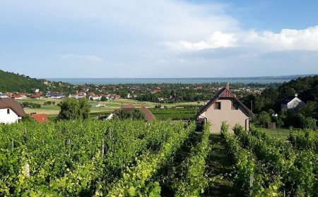 Lekics Pince és Vendégház Balatongyörök
