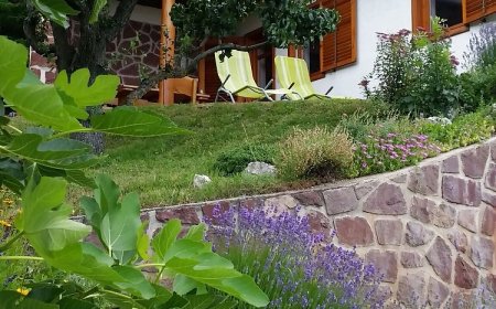 Zöldveréb Vendégház Balatongyörök