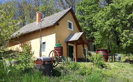 Cottage by the Woods Balatonhenye