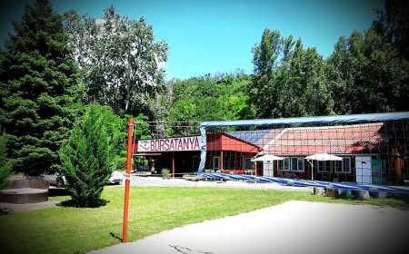 Borsatanya Balatonkenese