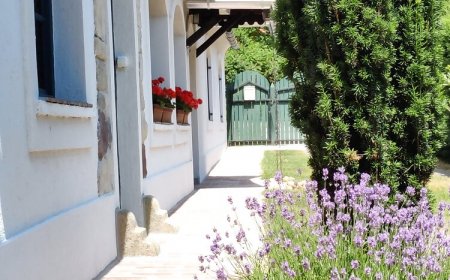 Titkoskert Kenese Vendégház Balatonkenese