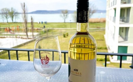 Vízpart Honvéd Apartman Balatonlelle