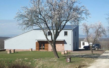 Pócz Pincészet Vendégház Balatonlelle