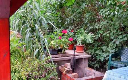 Márti Ház Balatonlelle