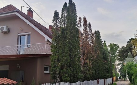 Léna Apartman Balatonlelle
