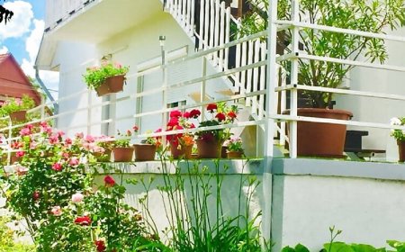 Lelle-kert Apartman Balatonlelle