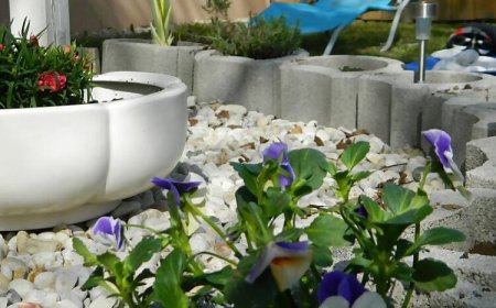 Lackó Kuckó Balatonlelle