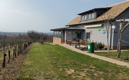 A zöld ajtós ház Balatonlelle