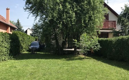 Hadd Simogasson A Balaton Nyaraló Balatonmáriafürdő