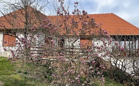 Nyugalom Vendégház Balatonrendes