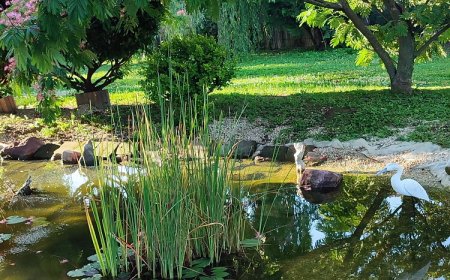 Norbi Vendégház Balatonszárszó