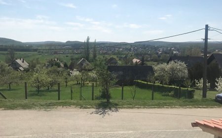 Aldo Apartman Balatonszőlős