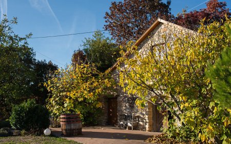 Hantos Pince Vendégház Balatonszőlős