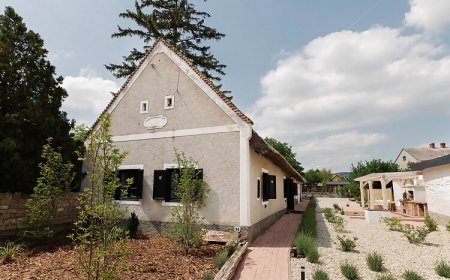 Zöld Tulipán Vendégház Balatonszőlős