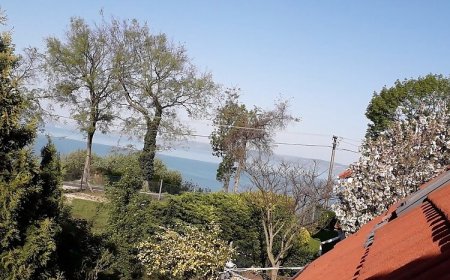 KOI Vendégház Balatonvilágos