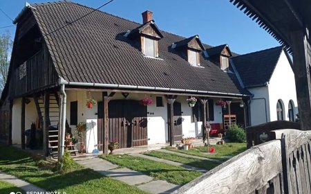 Erdey Apartman Barcs