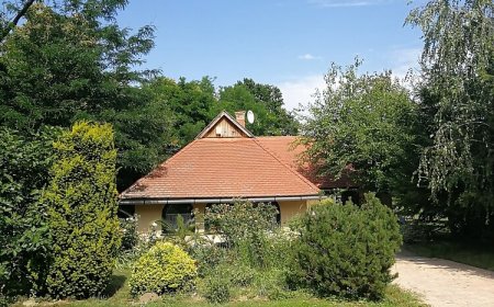 Zöld Oliva Apartman Bárdudvarnok