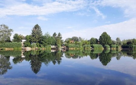 Márk Apartman Békésszentandrás