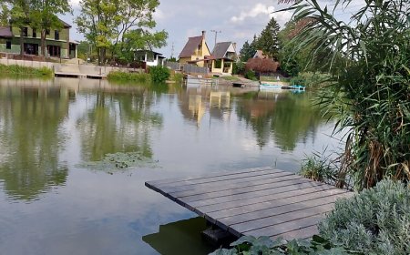 Rana Verde Zöld Béka Vendégház Békésszentandrás