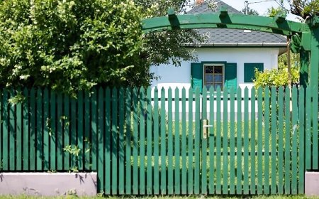 Zöld Orom Vendégház Békésszentandrás
