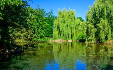 Barackos Vendégház Biharugra