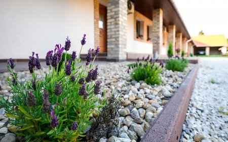 Ja&Zso Vendégház Bikács