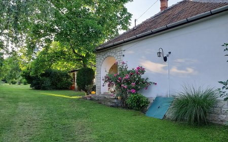 Zöld Dió Vendégház Bodrogkisfalud