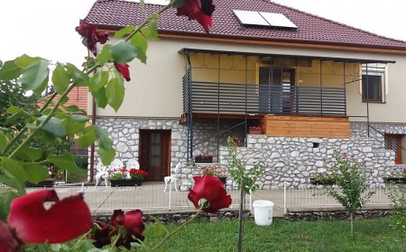 Éva Apartman 4 Bogács