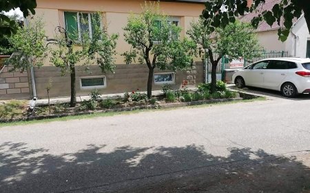 Kispatak Apartman Bogács