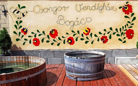 Csongor Vendégház Bogács