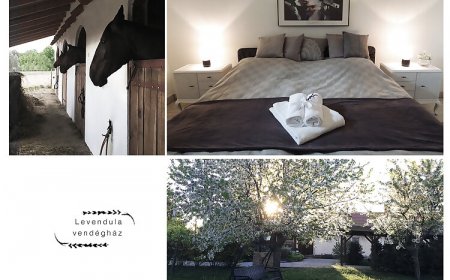 Levendula Vendégház Borsodivánka