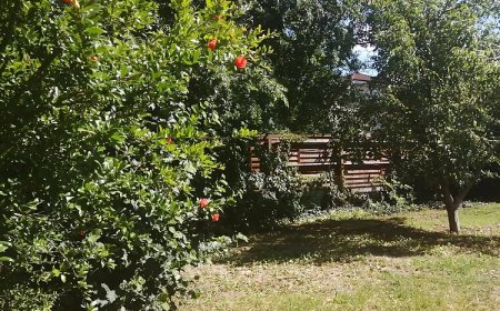 Rákos-patak Family House** Budapest