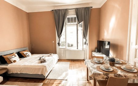 Sunny and Calm Apartment Central Buda Budapest