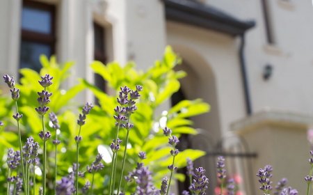 Kúria Apartman Budapest