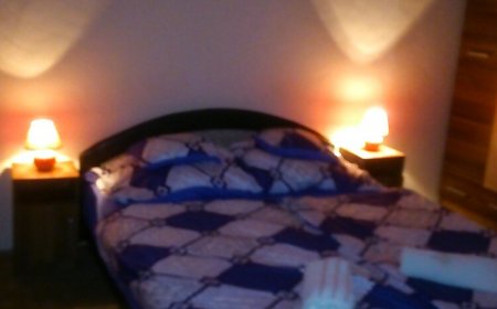 Palm-Apartment Budapest