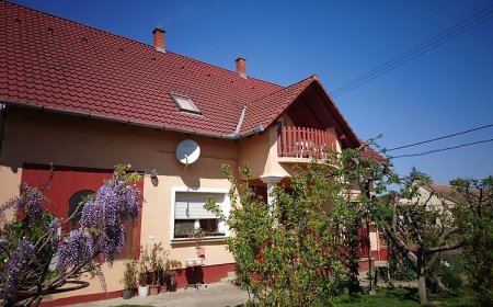 Csonka Apartman Buzsák