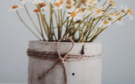 Kamilla Apartman Villapark Bükfürdő