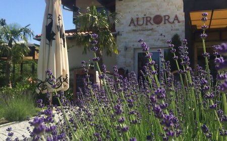 Aurora Panzió Bükfürdő