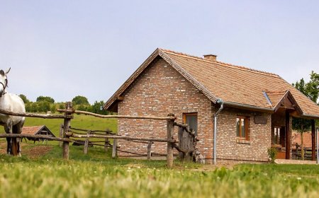 Szilvánusz Vendégház Ökopark Bükkösd