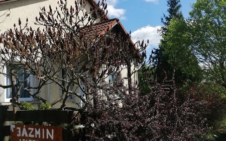 Jázmin Apartman Bükkszék