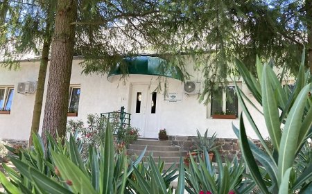 Salvus Panzió Bükkszék