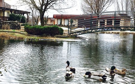 Horváth Apartman Cserkeszőlő