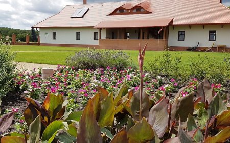 Győri Lovasudvar Cserkeszőlő