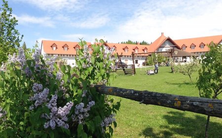 Lóbarát Lovasudvar Panzió Cserszegtomaj