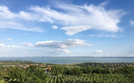 Hegyi Füge Vendégház Csopak