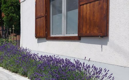 Fehér Szeder Vendégház Csopak