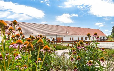 Zarándokszállás Csurgó