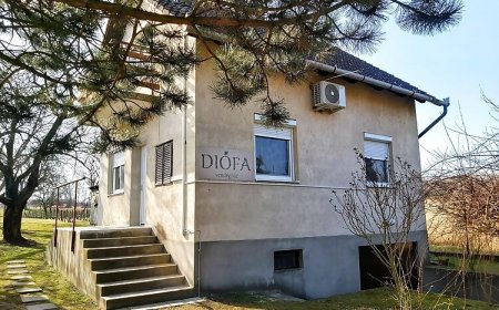 Diófa Vendégház Daruszentmiklós