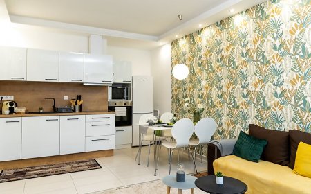 Wanderer Station Apartman Debrecen